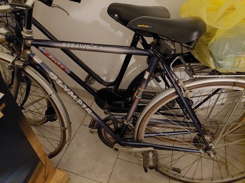 Bici olimpia stelvio vintage uomo