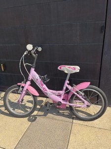 Bicicletta bimba