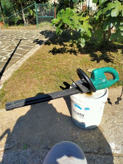 Tagliaepi 