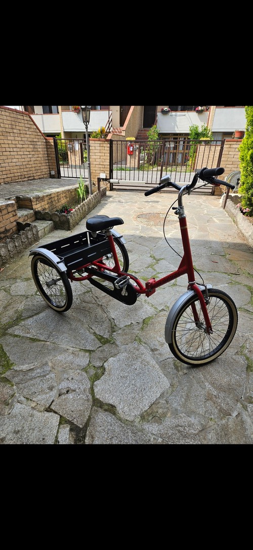 Triciclo con pedalata fissa