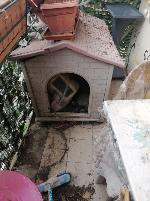 Vendo casa per cani