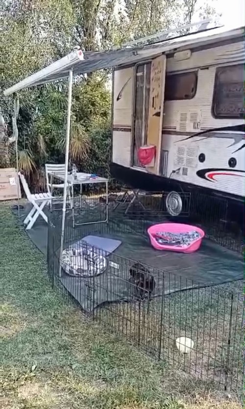 vendo camper rimor