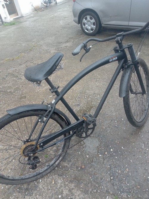 Bicicleta sportiva uomo/donna 