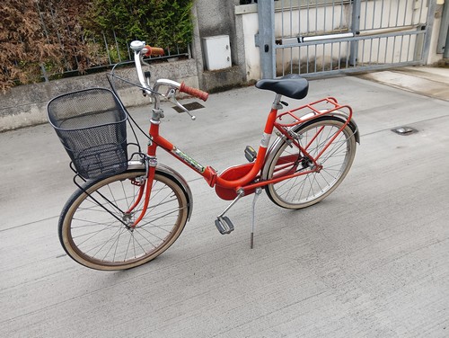 Bicicletta pieghevole 24