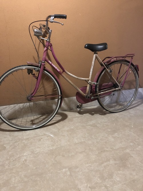 bicicletta donna