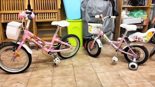 vendo 2 bici da bambina
