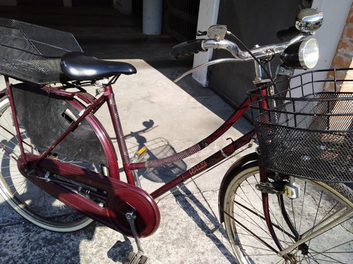 Bici autentica Raleigh inglese