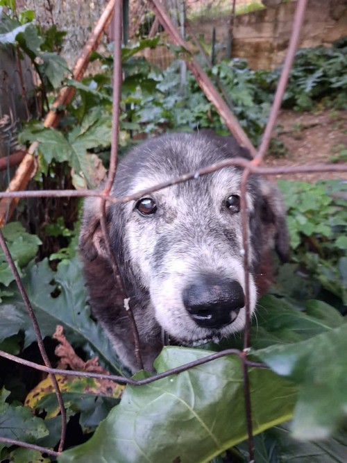 ARTURO 18 ANNI