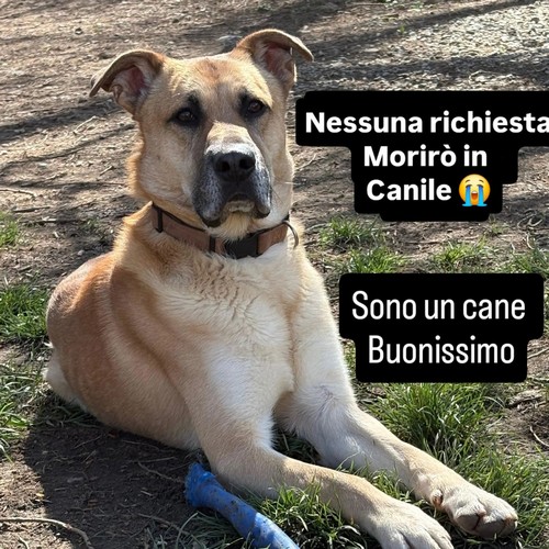 KRATOS, non ancora 3 anni