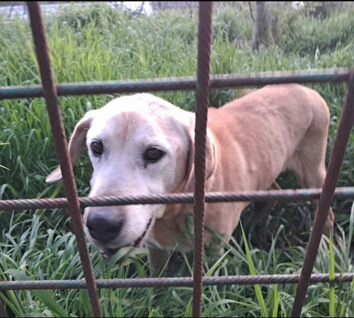 HOP, MASCHIO DI 14 ANNI, TAGLIA GRANDE