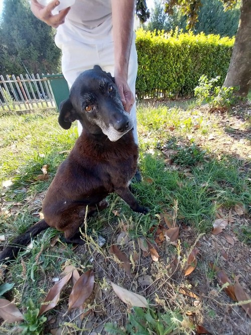  13 ANNI PABLO