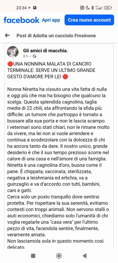 UNA NONNINA MALATA TERMINALE DI CANCRO