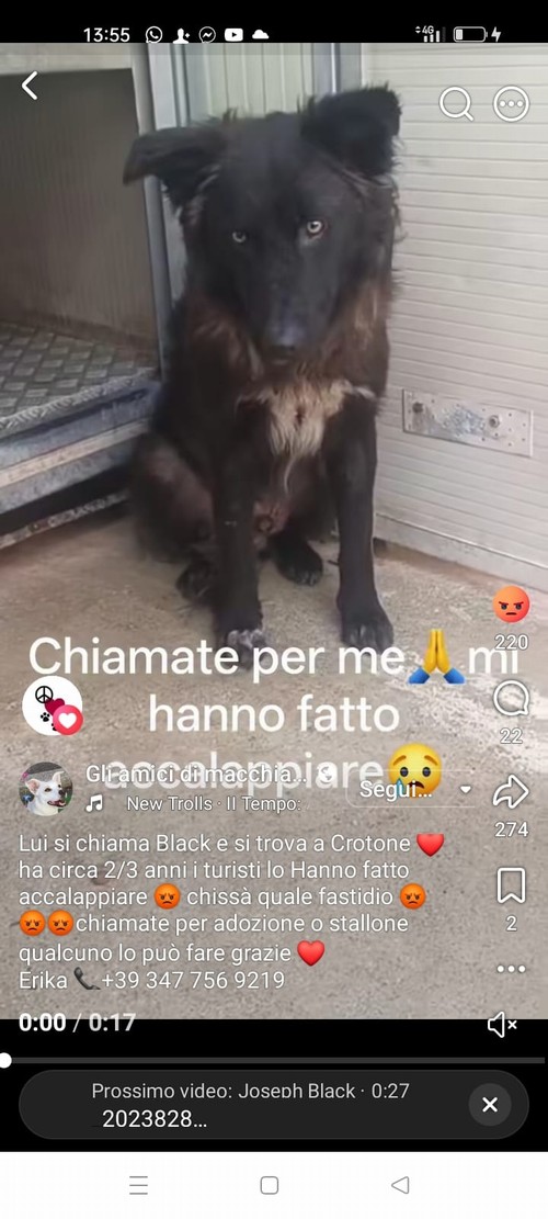 BLACK 3 ANNI