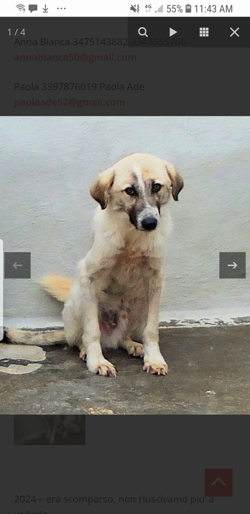 FRANCHINO, 4 ANNI E MEZZO