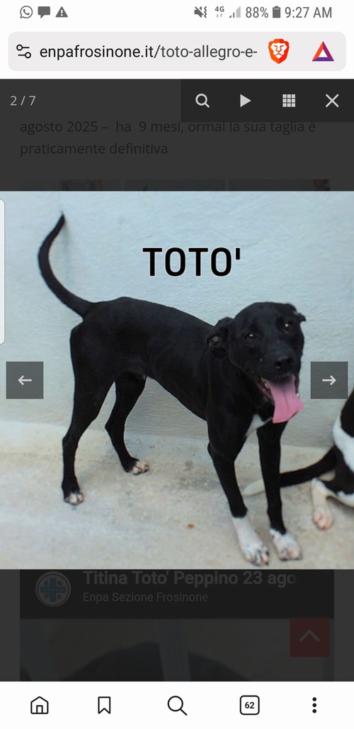 TOTO', 2 ANNI, allegro e simpatico